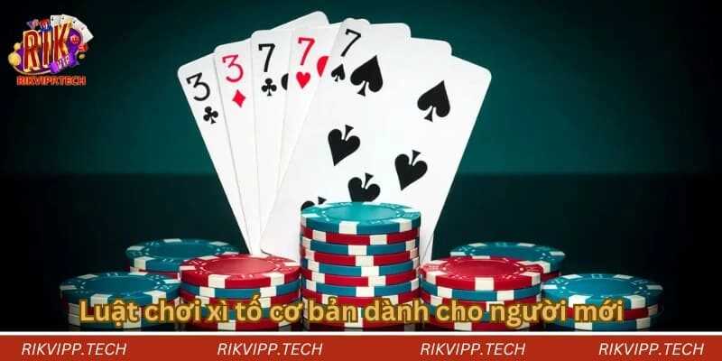 Khám phá về luật chơi xì tố cơ bản dành cho người mới Khám phá về luật chơi xì tố cơ bản dành cho người mới